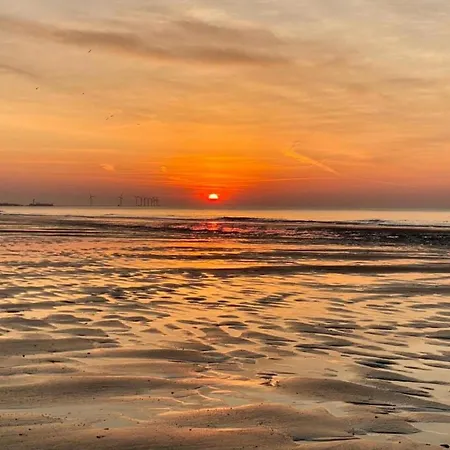 Duinbergen By The Sea