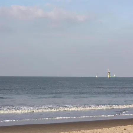 公寓 Duinbergen By The Sea