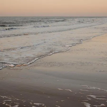 Lejlighed Duinbergen By The Sea Knokke-Heist