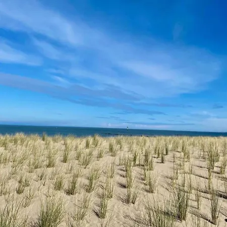 公寓 Duinbergen By The Sea *