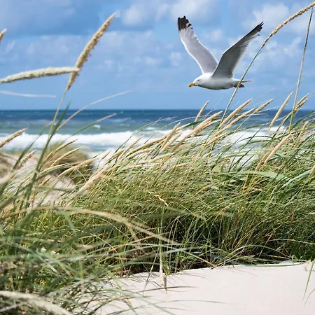 Lejlighed Duinbergen By The Sea *