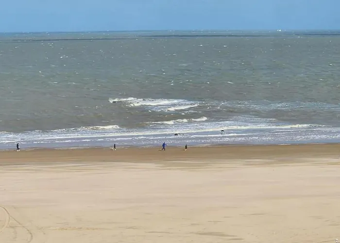 Duinbergen By The Sea * Knokke-Heist