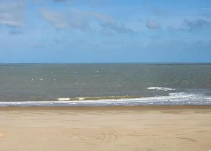 Lägenhet Duinbergen By The Sea *