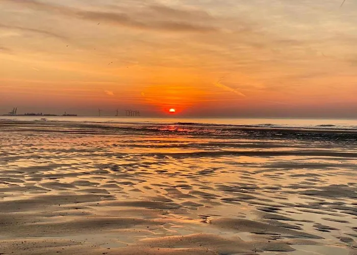 Duinbergen By The Sea