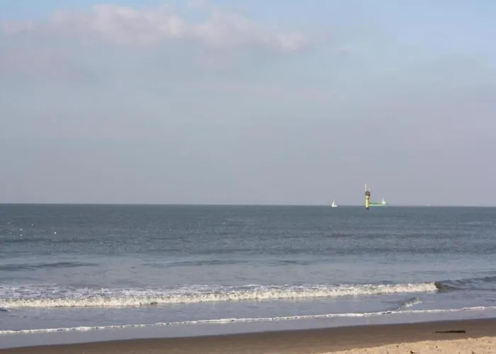 Lägenhet Duinbergen By The Sea