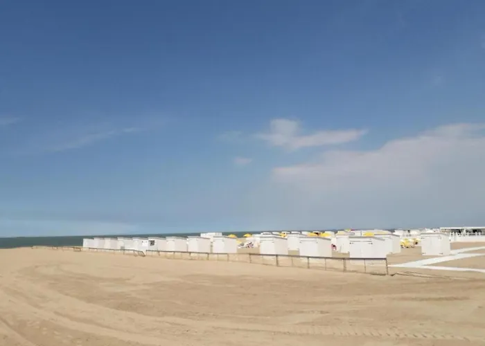 Duinbergen By The Sea Lägenhet *