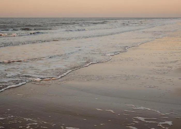 Lägenhet Duinbergen By The Sea Knokke-Heist