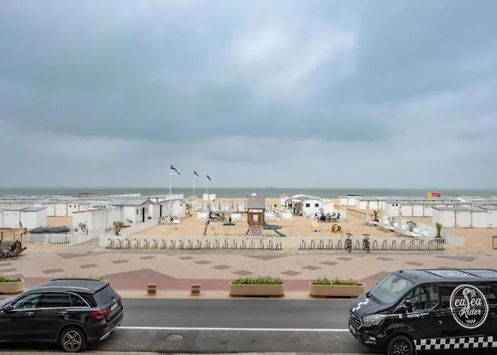 Duinbergen By The Sea