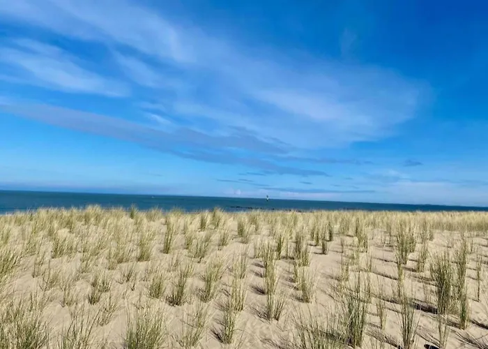 Lägenhet Duinbergen By The Sea *