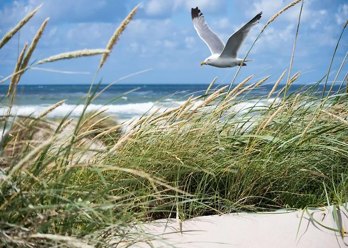 Lägenhet Duinbergen By The Sea *